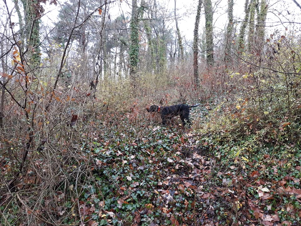 16- 6moisbois
