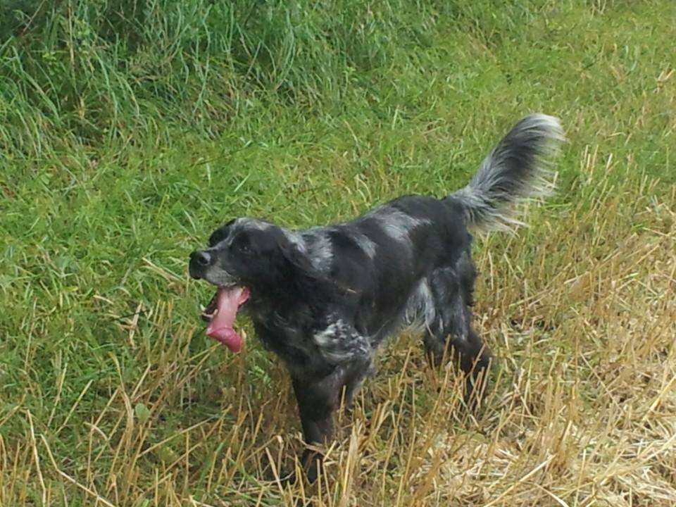diego