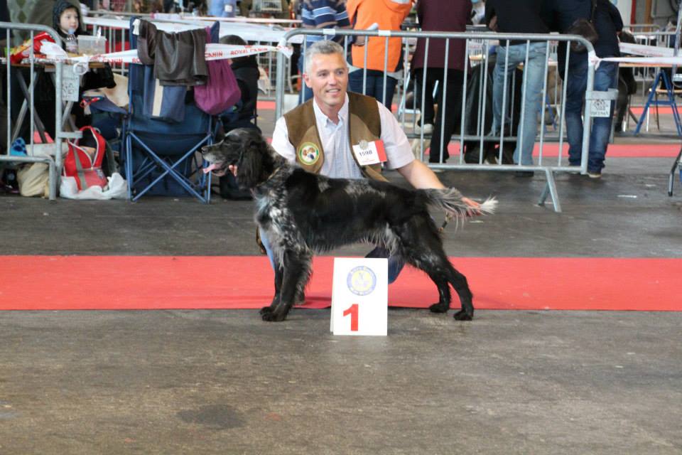 rcacib amiens