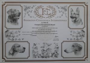 Champion ib